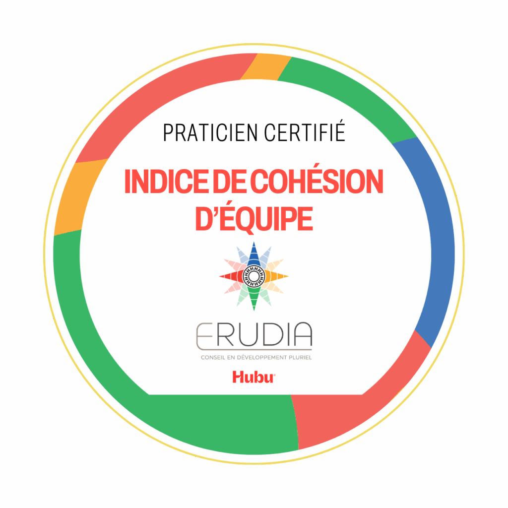 certification consultant ICE (indice de cohésion d'équipe)
