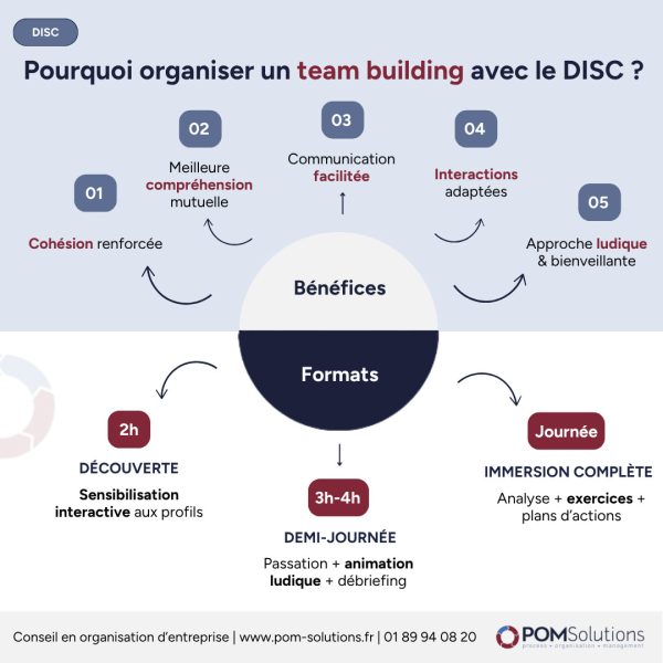 Organiser team building DISC